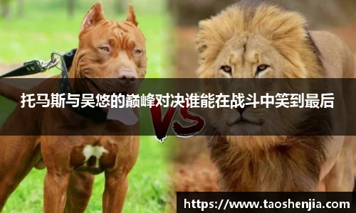 托马斯与吴悠的巅峰对决谁能在战斗中笑到最后