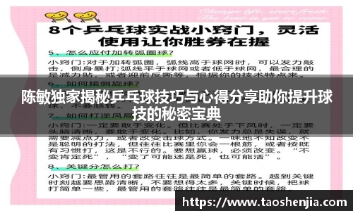 陈敏独家揭秘乒乓球技巧与心得分享助你提升球技的秘密宝典